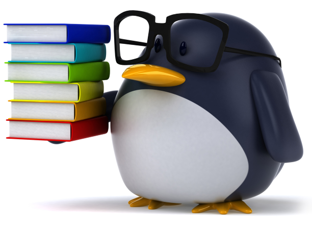 Linux System Engineer